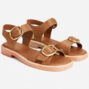 Everlane The Italian Leather Buckle Sandal in Brown—Size 8